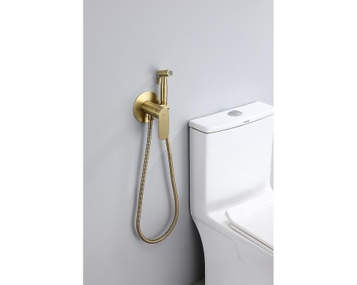 Гигиенический душ со смесителем Raglo R10.52.03 цвет Золото матовое