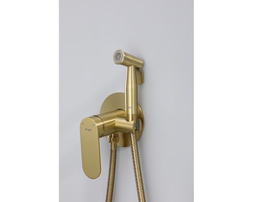 Гигиенический душ со смесителем Raglo R10.52.03 цвет Золото матовое