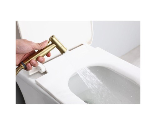 Гигиенический душ со смесителем Raglo R10.52.03 цвет Золото матовое