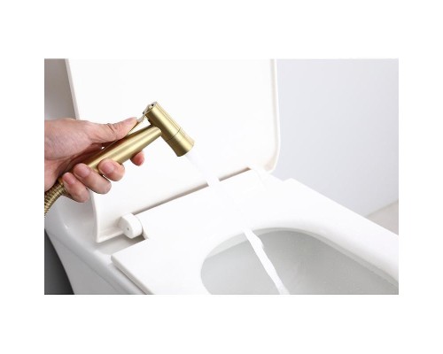 Гигиенический душ со смесителем Raglo R10.52.03 цвет Золото матовое