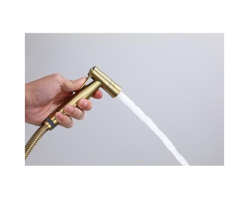 Гигиенический душ со смесителем Raglo R10.52.03 цвет Золото матовое