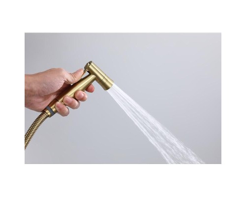 Гигиенический душ со смесителем Raglo R10.52.03 цвет Золото матовое