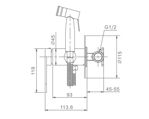 Гигиенический душ со смесителем Raglo R10.52.03 цвет Золото матовое