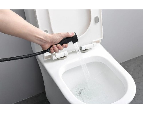 Гигиенический душ со смесителем Raglo R24.56.06 с термостатом Черный матовый