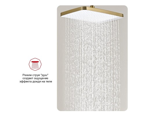 Верхний душ Raglo R451.52.03 цвет Золото матовое