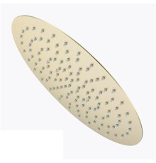 Верхний душ Raglo R451.56.03 цвет Золото матовое