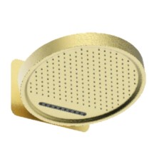Верхний душ Raglo R452.02.03 цвет Золото матовое