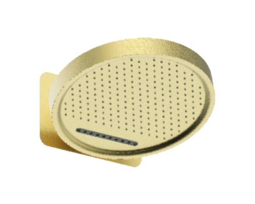 Верхний душ Raglo R452.02.03 цвет Золото матовое