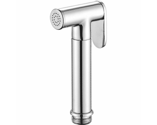 Гигиенический душ Raglo R460.03 Хром