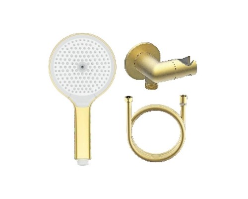 Душевой гарнитур Raglo R476.42.03 цвет Золото матовое