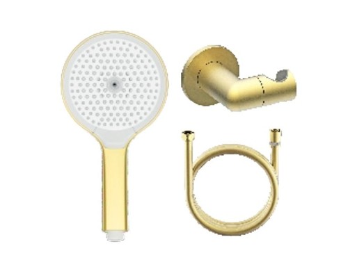 Душевой гарнитур Raglo R476.43.03 цвет Золото матовое