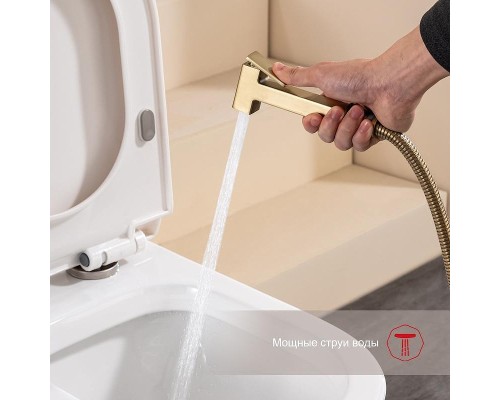 Гигиенический душ со смесителем Raglo R51.51.03 цвет Золото матовое