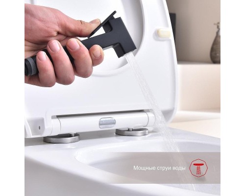 Гигиенический душ со смесителем Raglo R51.51.06 цвет Черный матовый