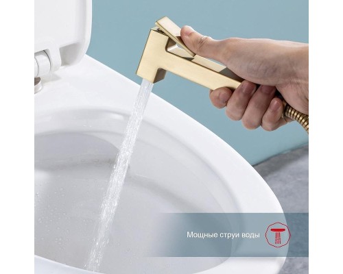 Гигиенический душ со смесителем Raglo R51.55.03 цвет Золото матовое