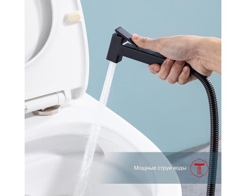 Гигиенический душ со смесителем Raglo R51.55.06 цвет Черный матовый