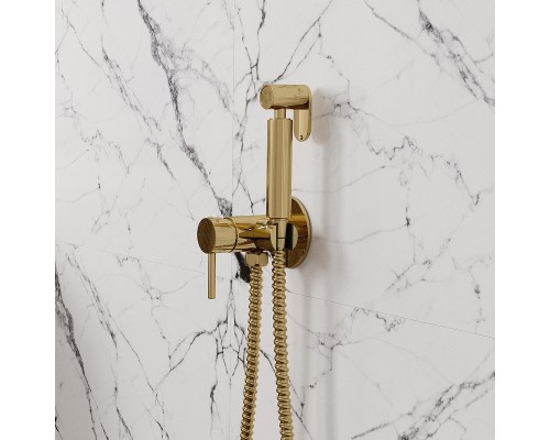Гигиенический душ со смесителем WasserKRAFT A70738 Золото глянцевое