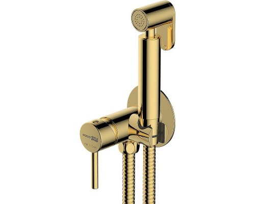 Гигиенический душ со смесителем WasserKRAFT A70738 Золото глянцевое