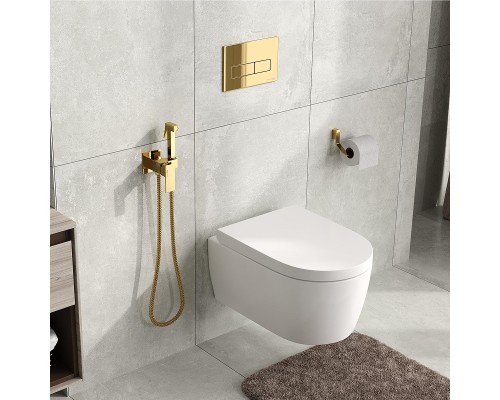 Гигиенический душ со смесителем WasserKRAFT A71738 Золото глянцевое