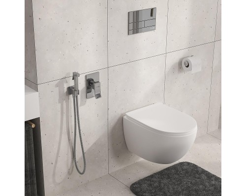 Гигиенический душ со смесителем WasserKRAFT Aller A106157 Хром