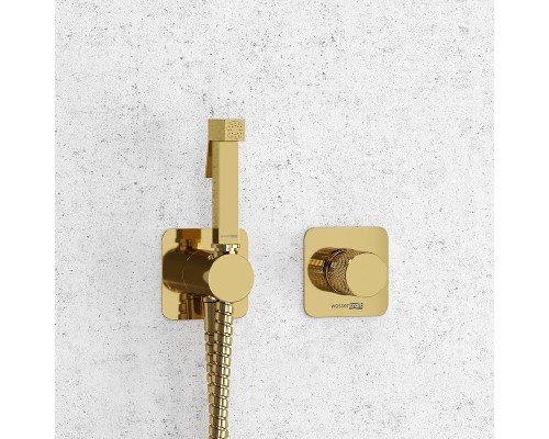 Гигиенический душ со смесителем WasserKRAFT Ems A7651.280.238.216 Золото глянцевое