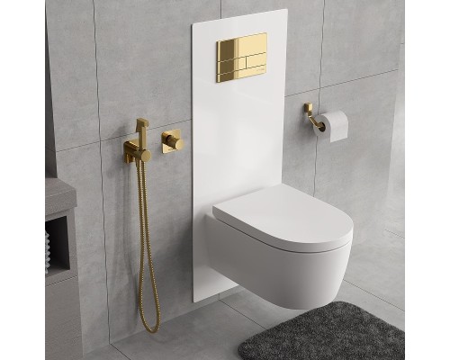 Гигиенический душ со смесителем WasserKRAFT Ems A7651.280.238.216 Золото глянцевое