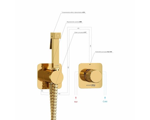 Гигиенический душ со смесителем WasserKRAFT Ems A7651.280.238.216 Золото глянцевое