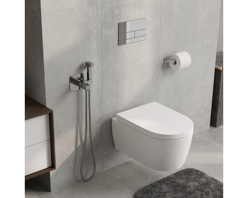 Гигиенический душ со смесителем WasserKRAFT Naab 8638 Хром