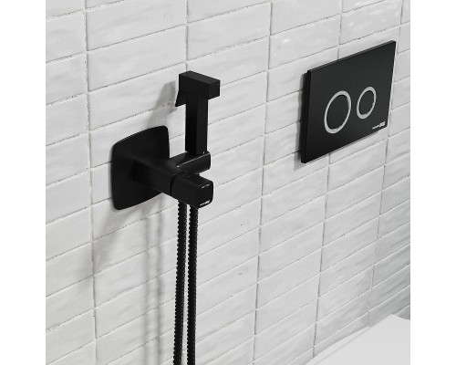 Гигиенический душ со смесителем WasserKRAFT Nuthe 9138 Черный матовый