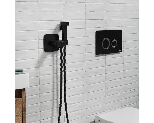 Гигиенический душ со смесителем WasserKRAFT Nuthe 9138 Черный матовый