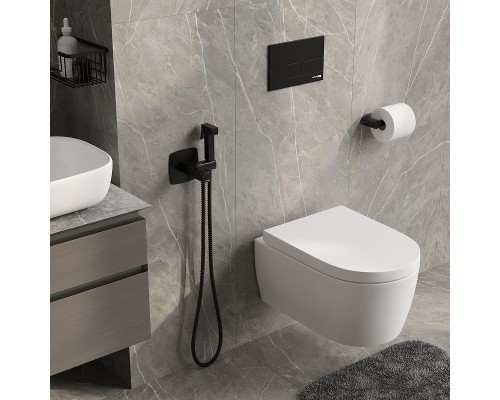 Гигиенический душ со смесителем WasserKRAFT Nuthe 9138 Черный матовый