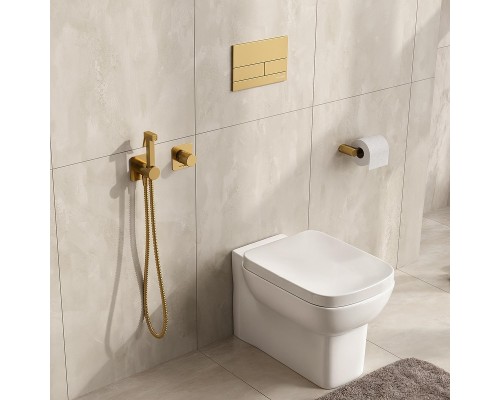 Гигиенический душ со смесителем WasserKRAFT Schunter A8251.285.237.213 Золото матовое