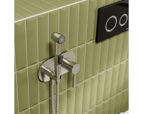 Гигиенический душ со смесителем WasserKRAFT Wern 4238 Никель