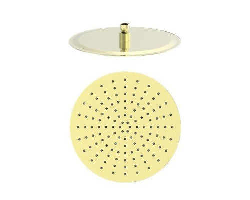 Верхний душ Wonzon & Woghand WW-88DP04-BG цвет Брашированное золото