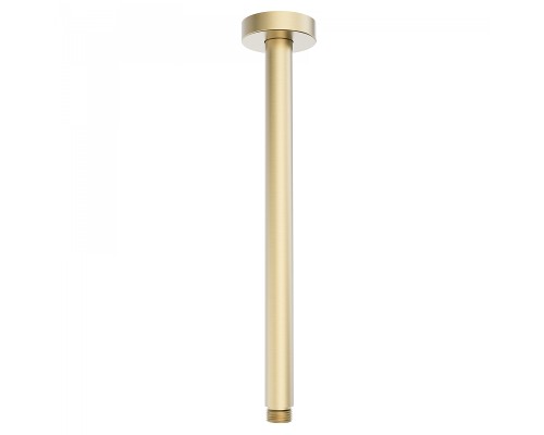 Кронштейн для верхнего душа Wonzon & Woghand WW-SA06-30-BG цвет Брашированное золото