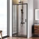 Душевая дверь AM.PM Gem 100 W90G-100-1P-BT профиль Черный матовый стекло прозрачное