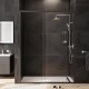 Душевая дверь AM.PM Gem 150 W90G-150-1-195BT профиль Черный матовый стекло прозрачное