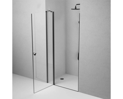 Душевая дверь AM.PM Sunny 100 W87G-100-1P-BT профиль Черный матовый стекло прозрачное