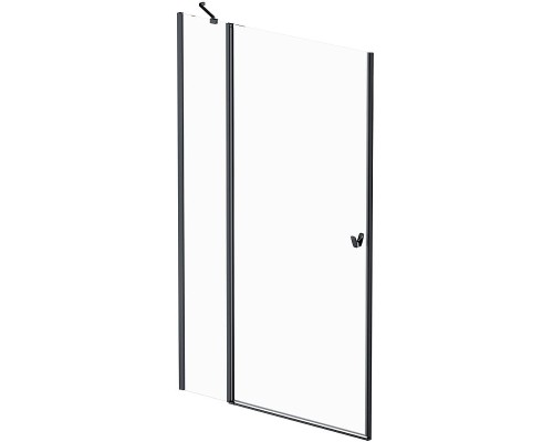 Душевая дверь AM.PM Sunny 120 W87G-120-1P-BT профиль Черный матовый стекло прозрачное
