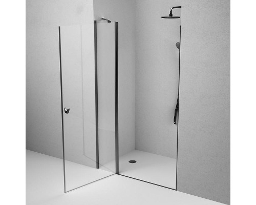 Душевая дверь AM.PM Sunny 120 W87G-120-1P-BT профиль Черный матовый стекло прозрачное