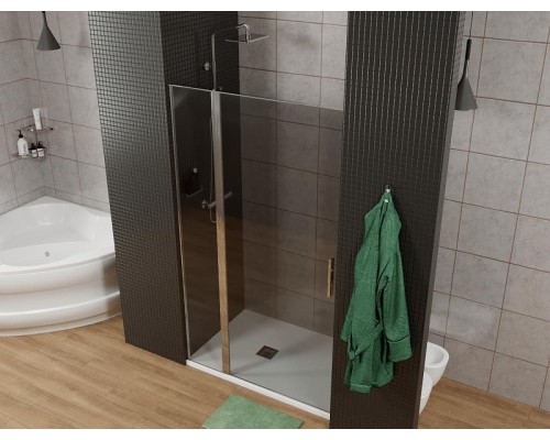 Душевая дверь Allen Brau Priority 120 3.31007.00G цвет профиля Хром стекло тонированное