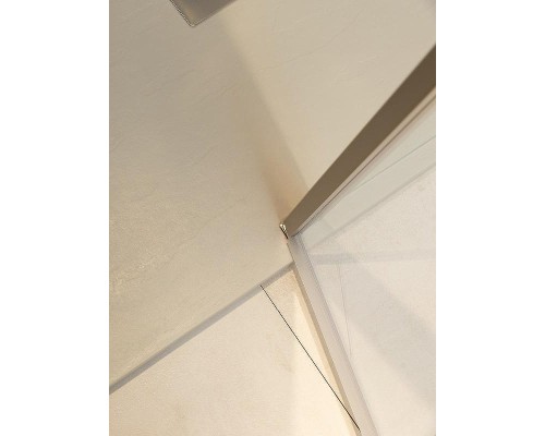 Душевая дверь Allen Brau Priority 120 3.31008.BA профиль Серебро брашированное стекло прозрачное