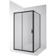 Душевая стенка Ambassador Forsa 100 100AB профиль Черный cтекло прозрачное