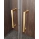 Душевая дверь Cezares Molveno 170 MOLVENO-BF-2-170-C-BORO-IV профиль Брашированное золото стекло прозрачное