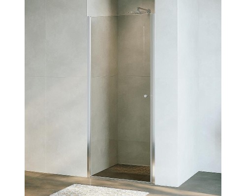 Душевая дверь RGW Dolphin TN-03 90 54930309-11 профиль Хром стекло прозрачное