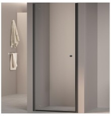 Душевая дверь RGW Dolphin TN-03B 90 54930309-14 профиль Черный стекло прозрачное