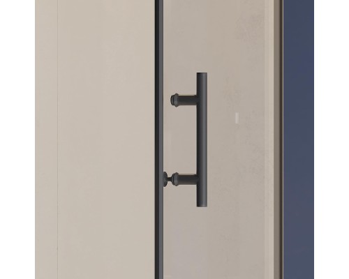 Душевая дверь RGW Hotel HO-011B 80 350601108-14 профиль Черный стекло прозрачное