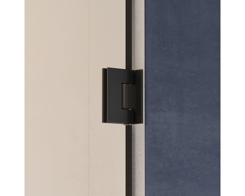 Душевая дверь RGW Hotel HO-011B 80 350601108-14 профиль Черный стекло прозрачное