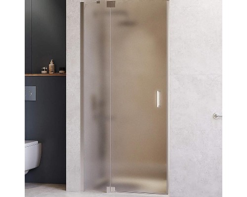 Душевая дверь RGW Hotel HO-014 110 350601411-21 профиль Хром стекло матовое