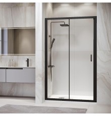 Душевая дверь RGW Passage PA-14 B 120 41081412-14 профиль Черный стекло прозрачное