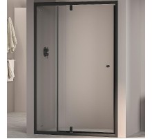 Душевая дверь RGW Passage PA-02B NEW 120 41080212-14 профиль Черный стекло прозрачное